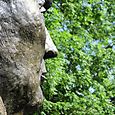 Statue en bronze de François Mitterrand