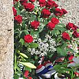 Les roses et la république